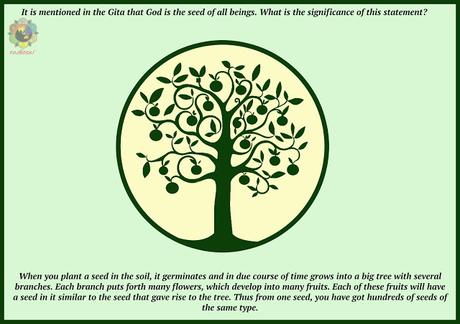 LLUVIAS DE VERANO 1990 ILUSTRADO PARTES 14 Y 15