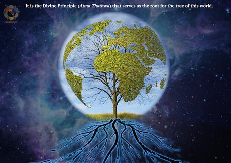 LLUVIAS DE VERANO 1990 ILUSTRADO PARTES 14 Y 15