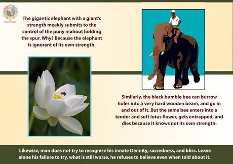 LLUVIAS DE VERANO 1990 ILUSTRADO PARTES 14 Y 15