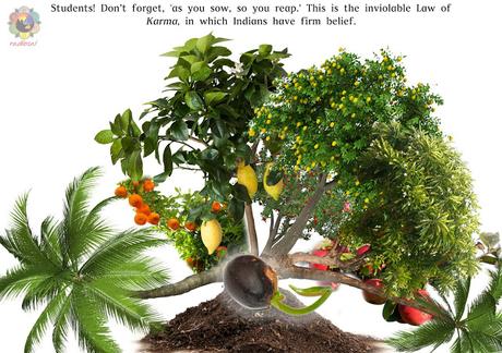 LLUVIAS DE VERANO 1990 ILUSTRADO PARTES 14 Y 15