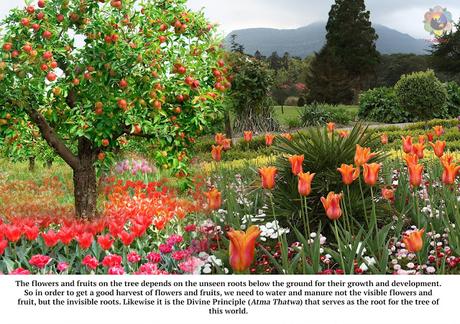 LLUVIAS DE VERANO 1990 ILUSTRADO PARTES 14 Y 15