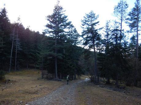 De Castellar de n'Hug a la Molina De Castellar de n'Hug a la Molina