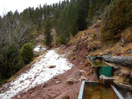 De Ribes de Freser a Castellar de N'Hug