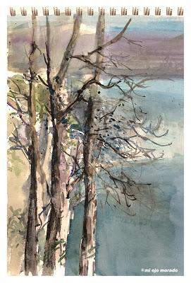 Plein air en La Arboleda