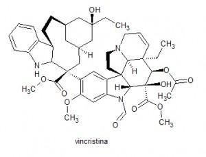estructura vincristina