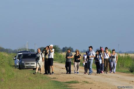 Censo Neotropical de Aves Acuáticas con el COA Cañuelas (febrero 2016)