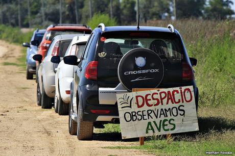 Censo Neotropical de Aves Acuáticas con el COA Cañuelas (febrero 2016)