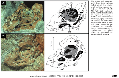 Xtreme facepalm: el huevo de 300 Ma
