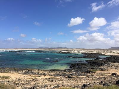 Día Mundial de Los Humedales en Fuerteventura