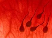Científicos chinos crean esperma artificial