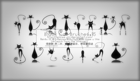 BlackCat Brushes