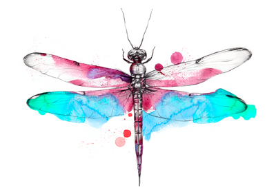 Ilustraciones oníricas desde Noruega.