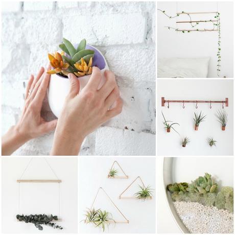 6 ideas handmade para decorar la pared con plantas 6 ideas handmade para decorar la pared con plantas