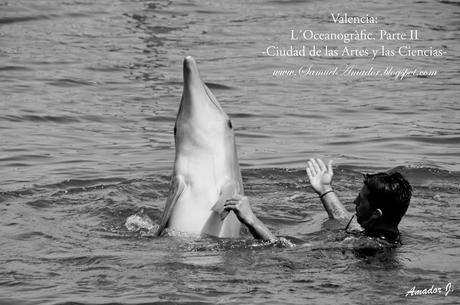 VALENCIA: CIUDAD DE LAS ARTES Y LAS CIENCIAS. PARTE IV: L´OCEANOGRÀFIC (II)