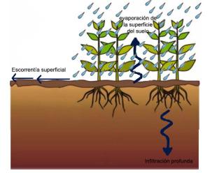 Riego en cubiertas vegetales