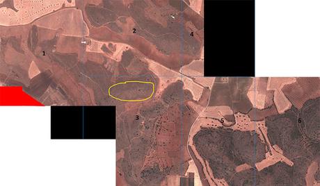 Nueva zona de campeo para fotografía de fauna