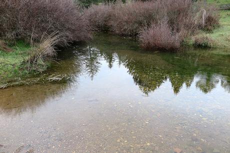 Nueva zona de campeo para fotografía de fauna