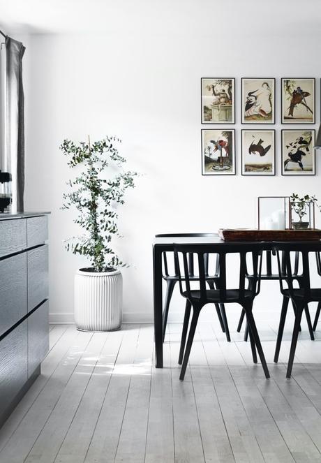 Color negro en la decoración, ¿por qué no? Color negro en la decoración, ¿por qué no?