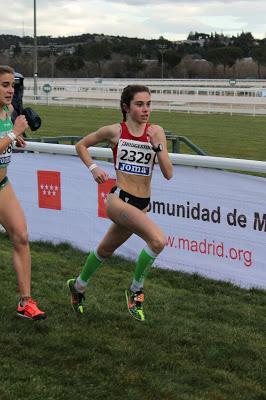 LI Campeonato de España de Campo a Traves por Clubes