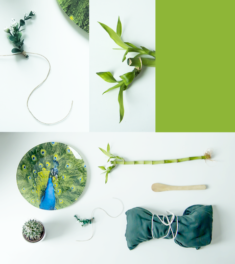 combinar-plantas-en-textiles-y-papeles