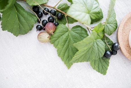 Mesa decorada con ramas de grosellas e higos