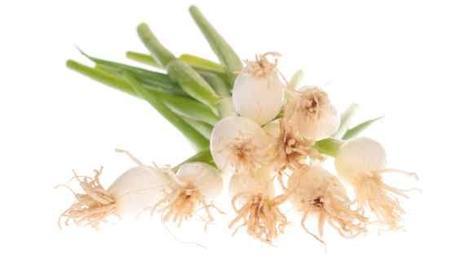 Frutas y verduras de temporada (Marzo)