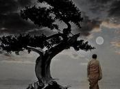 Cuento Zen: Señalando luna