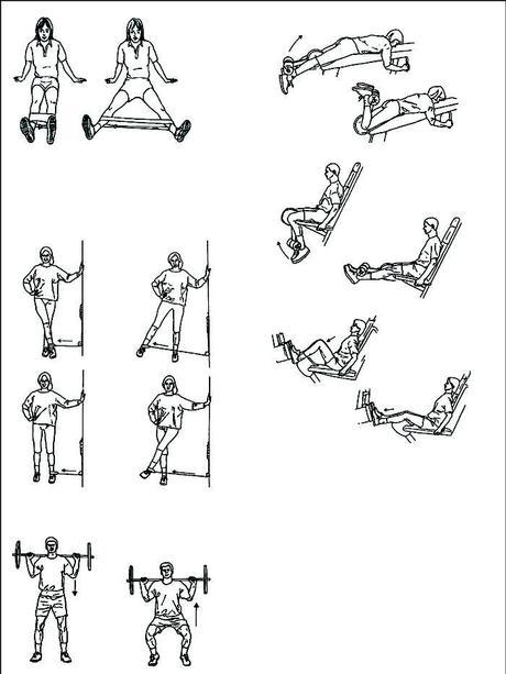 Ejercicios con  Bandas Elásticas.