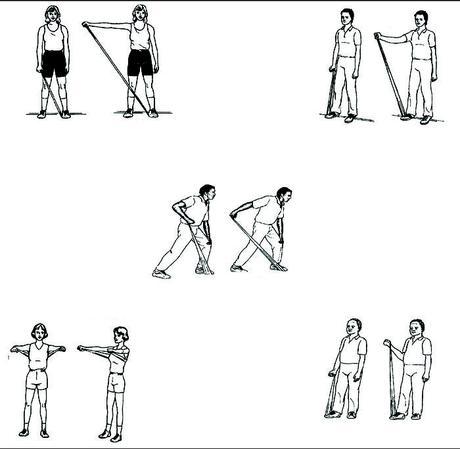 Ejercicios con  Bandas Elásticas.