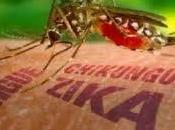 Primer caso virus zika importado Cuba