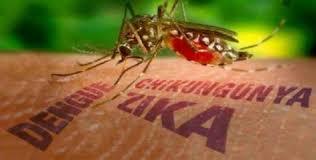 Resultado de imagen de zika cuba
