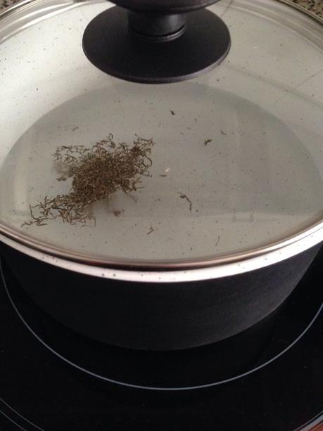 QueComemosHoy, PasoAPaso ComoSeHIzo, receta, chuletas con patatas al tomillo al vapor, cocina, blog de cocina, solo yo, blog solo yo, 