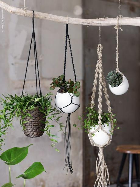 hanging-pots