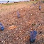 Donde Pernoctar en el Mar Menor – Furgoperfectos Nuestros-furgoperfectos-Mar-Menor-Dónde-pernoctar-nuestra-furgo- Furgoneteo.com