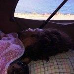 Donde Pernoctar en el Mar Menor – Furgoperfectos Nuestros-furgoperfectos-Mar-Menor-Dónde-pernoctar-nuestra-furgo- Furgoneteo.com