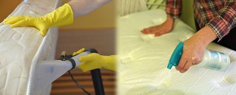 La alergia a los ácaros y las medidas para evitarlas