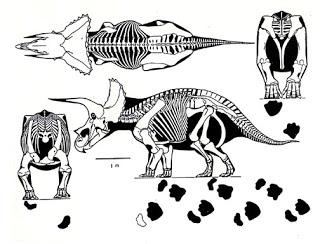 Palaeos, la entrevista con Christopher Chávez