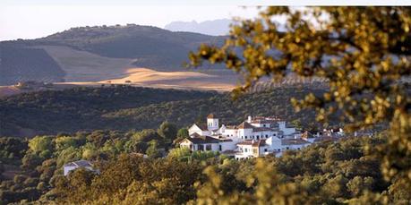 Los 3 pasos para liberar las llamadas hormonas de la felicidad