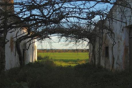 La Casa de los archivos