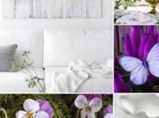 Collage: ¡Primavera, llega