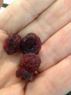 BARRITAS ENERGETICAS