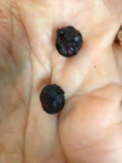 BARRITAS ENERGETICAS