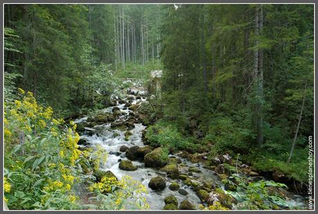 Camino Cascadas de Golling (Golling Wasserfalls Austria)