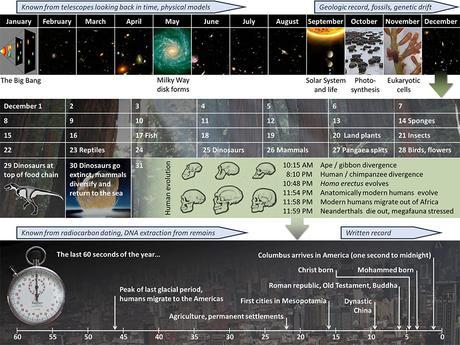 EL SIMBOLISMO ESPIRITUAL EN EL CULTO DEL SUPREMO COMO SHIVA
