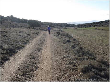 Corriendo hacia La Majadillas