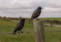 STONEHENGE STONEHENGE