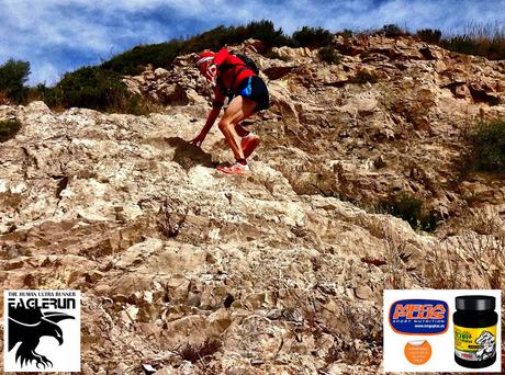 Optimal BCAA de Megaplus. Desarrollo muscular y síntesis de proteínas para el deportista.