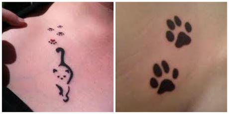 Tatuajes de Gatos y como cuidarlas !