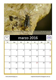 Calendario AeE-GEV. Marzo 2016