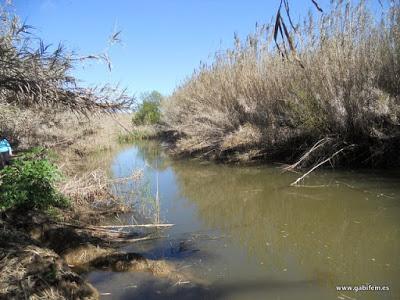 Río Guadajira (Aceuchal)